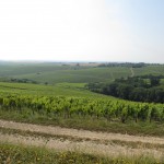 Vinmarker i Chablis
