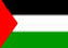 Palestinian Flag